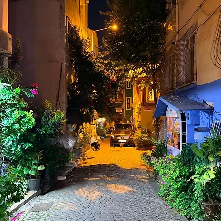 Istanbulis - Old Sultanahmet アパート *